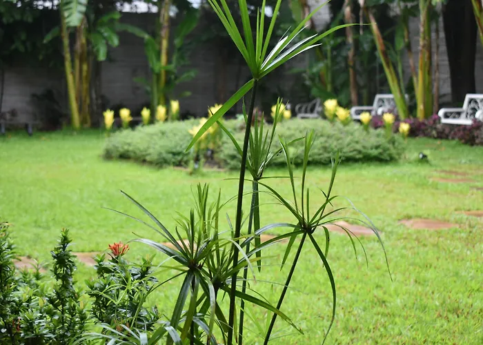 Lucky Angkor & Hotel Siem Reap
